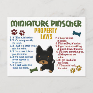 Postal Leyes de propiedad en miniatura de Pinscher 4