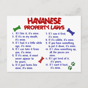 Postal leyes de propiedad HAVANESE 2