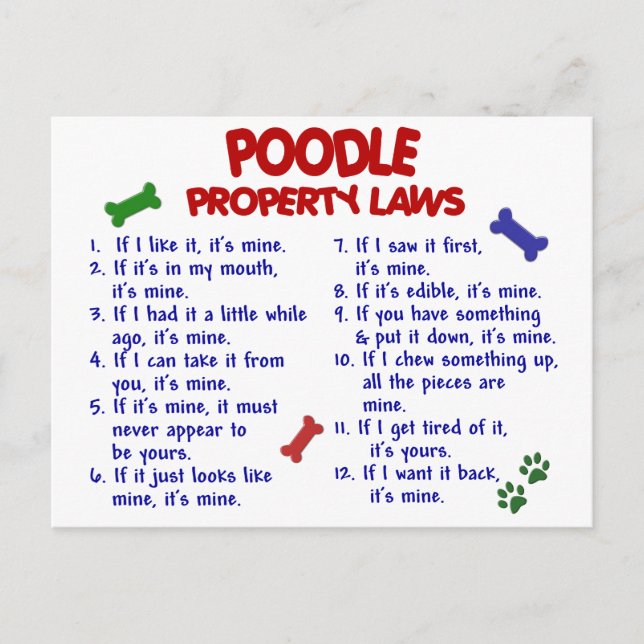 Postal Leyes de propiedad POODLE 2 (Anverso)