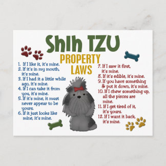Postal Leyes de propiedad Shih Tzu 4