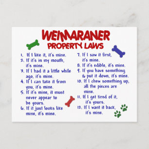 Postal Leyes de propiedad WEIMARANER 2