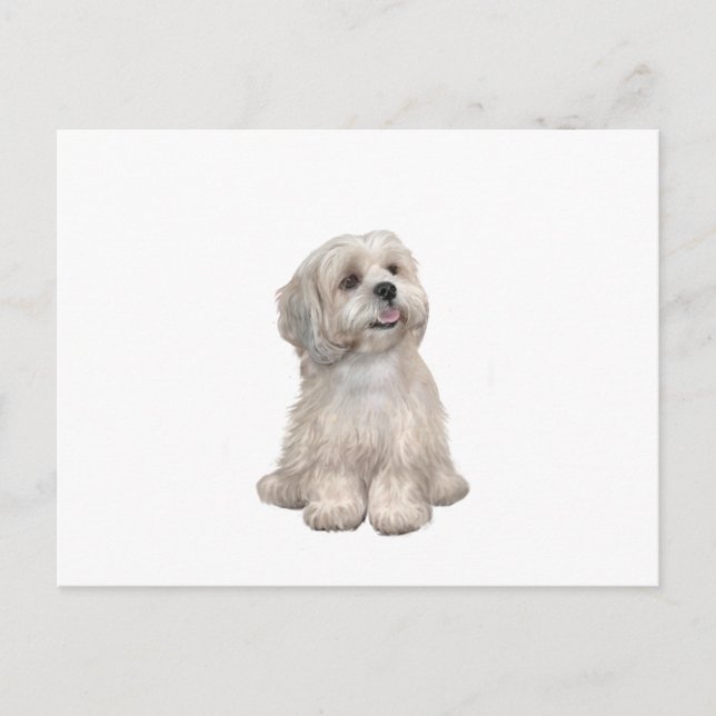 Postal Lhasa Apso (C) - Oro ligero (Anverso)
