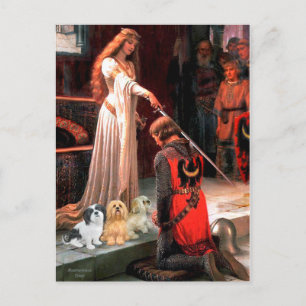 Postal Lhasa Apsos (3) - The Accolade