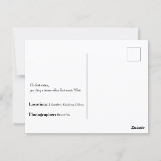 Postal Li Garden Series: Donde Residen Historias