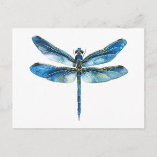 Postal Libélula azul