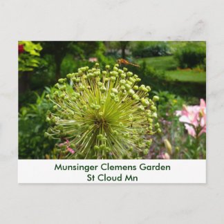 Postal Libélula en el jardín de Munsinger