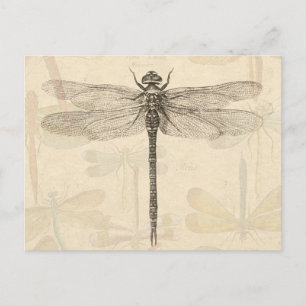 Postal Libélula Vintage Antigua Clásica Naturaleza