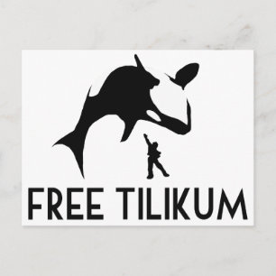 Postal Liberen a Tilikum Salven a la ballena asesina de O