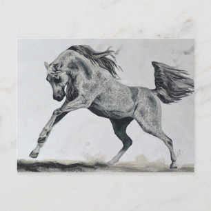 Postal Libertad de espíritu