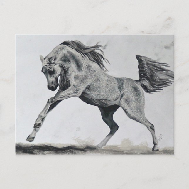 Postal Libertad de espíritu (Anverso)