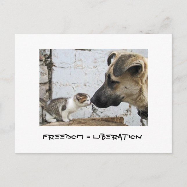 Postal Libertad = Liberación (Anverso)