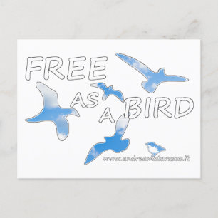 Postal Libre como pájaro