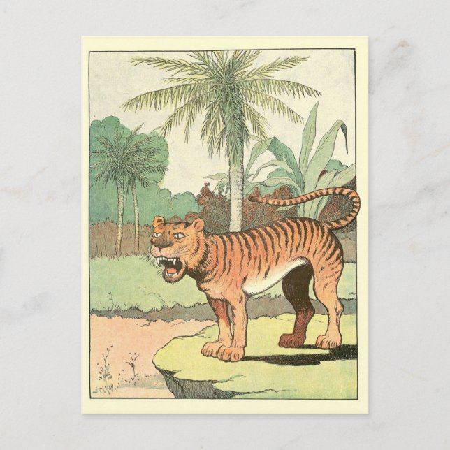 Postal Libro de historias sobre tigres (Anverso)