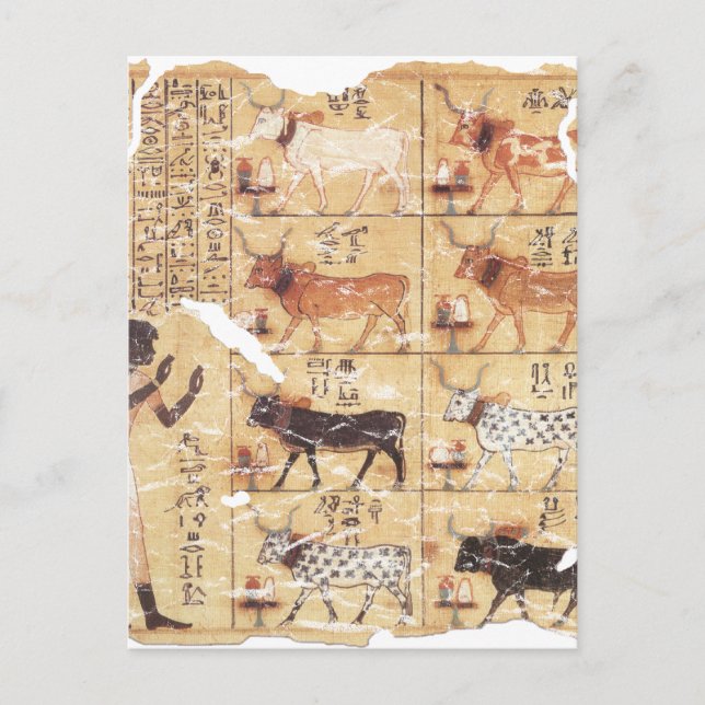 Postal Libro de la Muerte-Maiherperi-1479bc (Anverso)