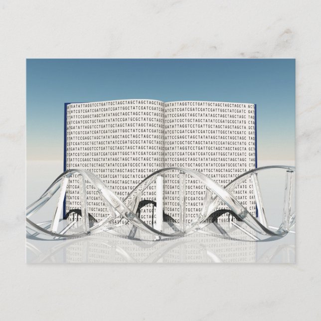 Postal Libro de la Vida (Anverso)