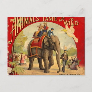 Postal Libro Rojo Elefante