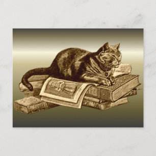 Postal Libros de lectura de gatos Kitty