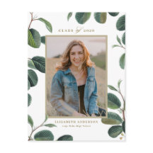 Licenciación fotográfica blanca de hojas botánicas