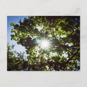 Postal Lichtblick
