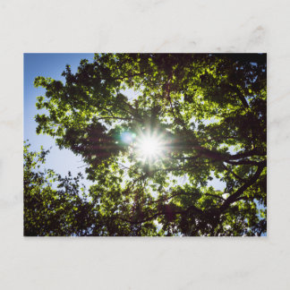 Postal Lichtblick
