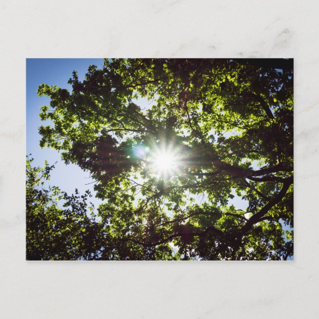 Postal Lichtblick (Anverso)