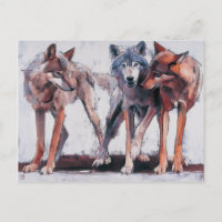 Líderes de paquete 2001