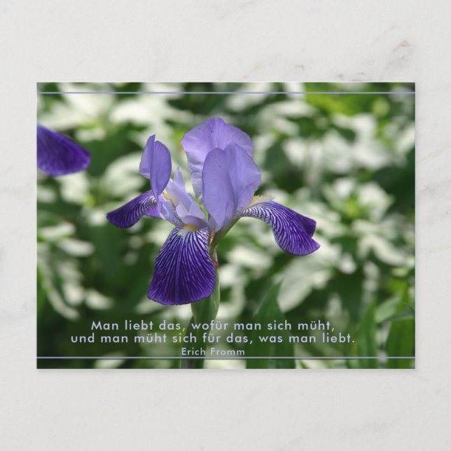 Postal Liebe (Anverso)