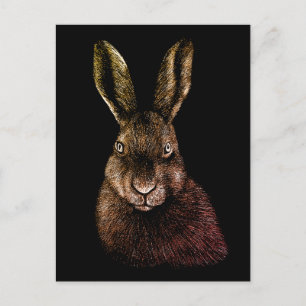 Postal Liebre, conejo, dibujo