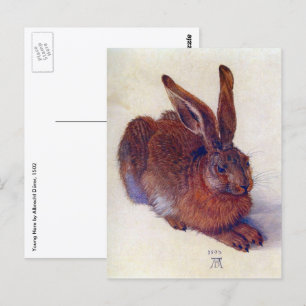 Postal Liebre joven de Albrecht Durer, Arte Fino Renacent