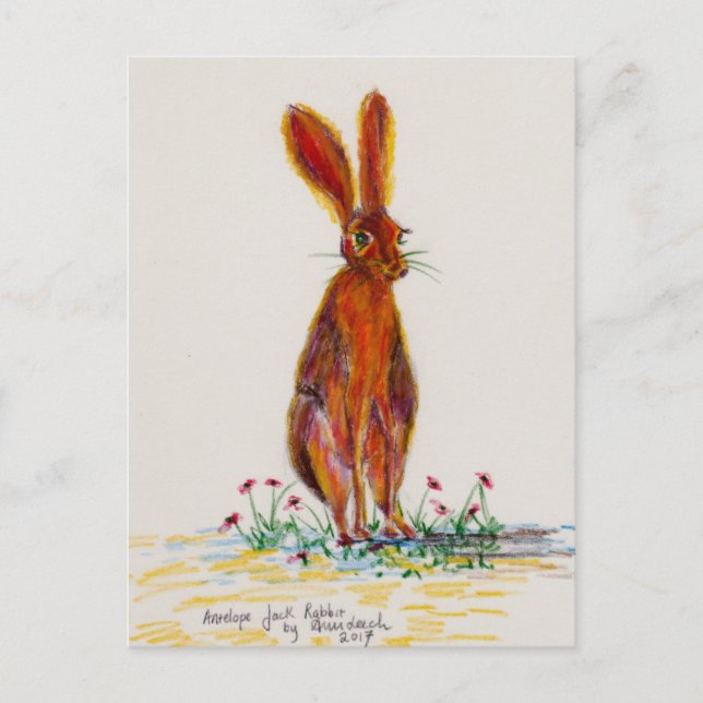Postal Liebres en amapolas (Anverso)