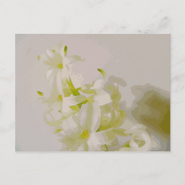 Postal Lienzo Hy (Anverso)