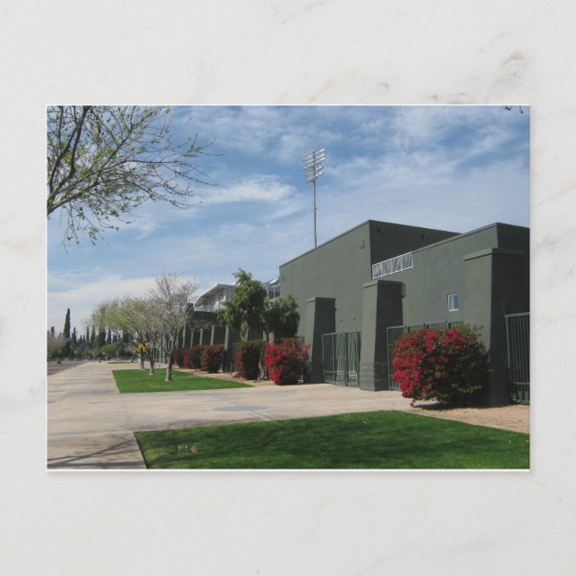 Postal Liga de Cactus de Arizona (Anverso)