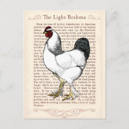 Postal Light Brahma Rooster Vintage Country