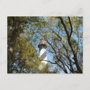 POSTAL LIGHTHOUSE A TRAVÉS DE LOS ÁRBOLES