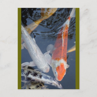 Postal lightner's 043