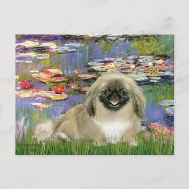 Postal Liies 2 - Pekingese 1b (Anverso)