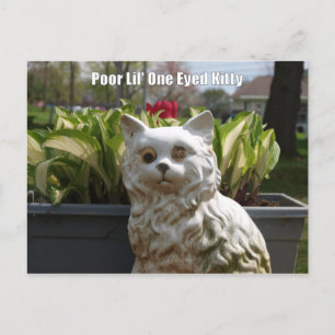 Postal Lil pobre un gatito observado