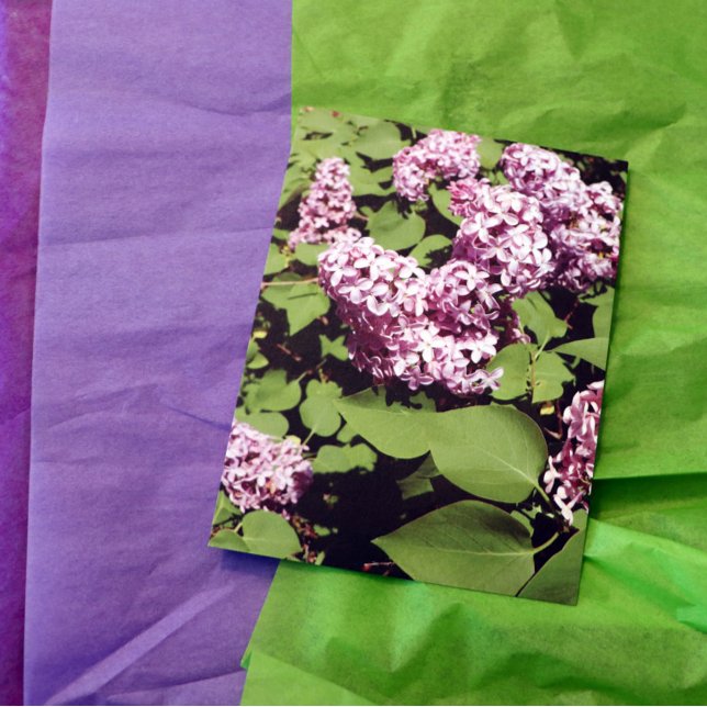 Postal Lilac Love (Subido por el creador)