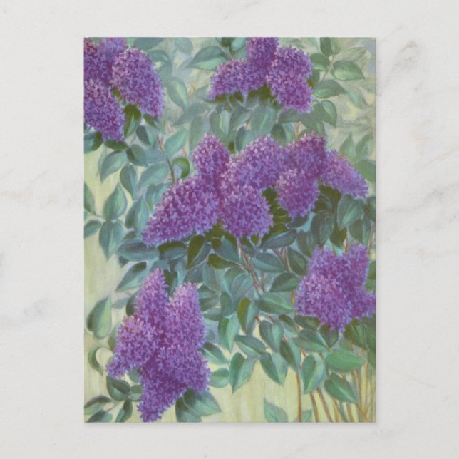 Postal Lilac morado por Cargill, 1937 (Anverso)