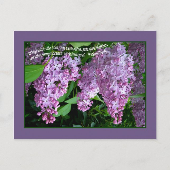 Postal LILAC    TIMEPostcard (Anverso)