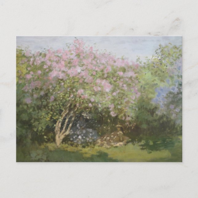 Postal Lilacs al sol por Claude Monet Postcard (Anverso)