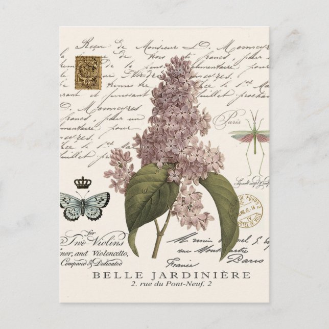 Postal Lilacs francés vintage moderno (Anverso)