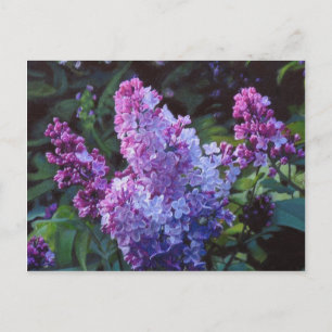 Postal Lilas de Lavendar