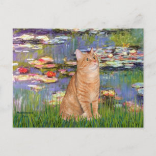 Postal Lilias 2 - Gato atigrado naranja 46
