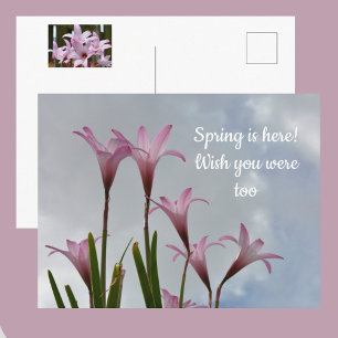 Postal Lilias de Lluvia Rosadas Pastel Floral Te Extraño