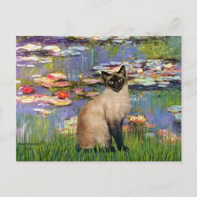 Postal Lilies 2 - gato siamés de punto de foca (Anverso)