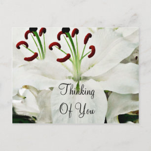 Postal Lilies blancos_
