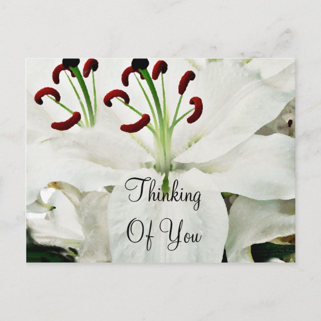 Postal Lilies blancos_ (Anverso)