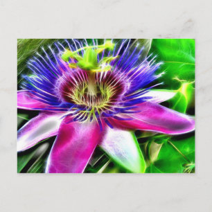 Postal Lilikoi o flor de pasión