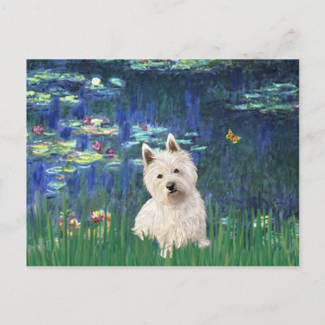 Postal Lilios 5 - Westie 1 (Anverso)